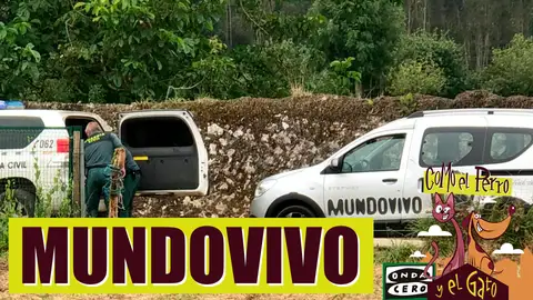 Incautación de dos fincas con decenas de ovejas y cabras muertas Incautación de dos fincas con decenas de ovejas y cabras muertas