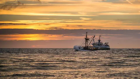 Barco pesquero Barco pesquero
