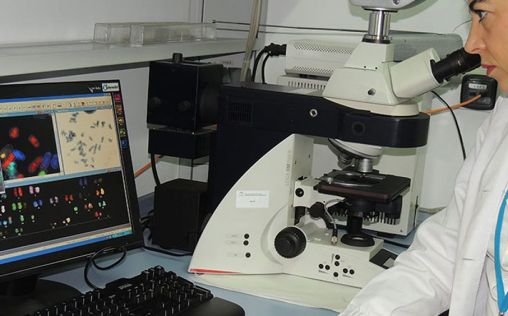 La importancia de las muestras biológicas frente a la lucha contra el Covid-19 La importancia de las muestras biológicas frente a la lucha contra el Covid-19