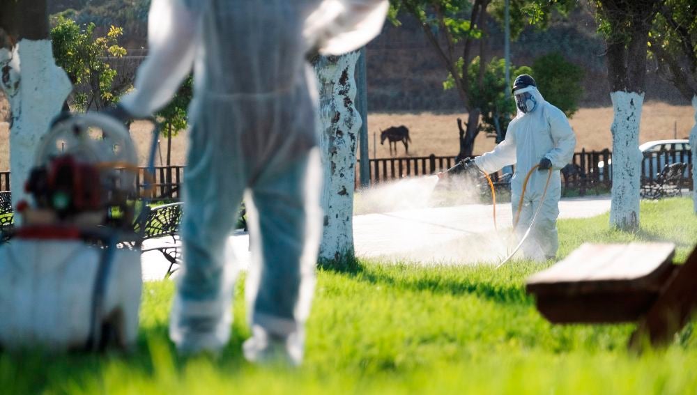 Varios operarios fumigan unos jardines para intentar detener al virus del Nilo