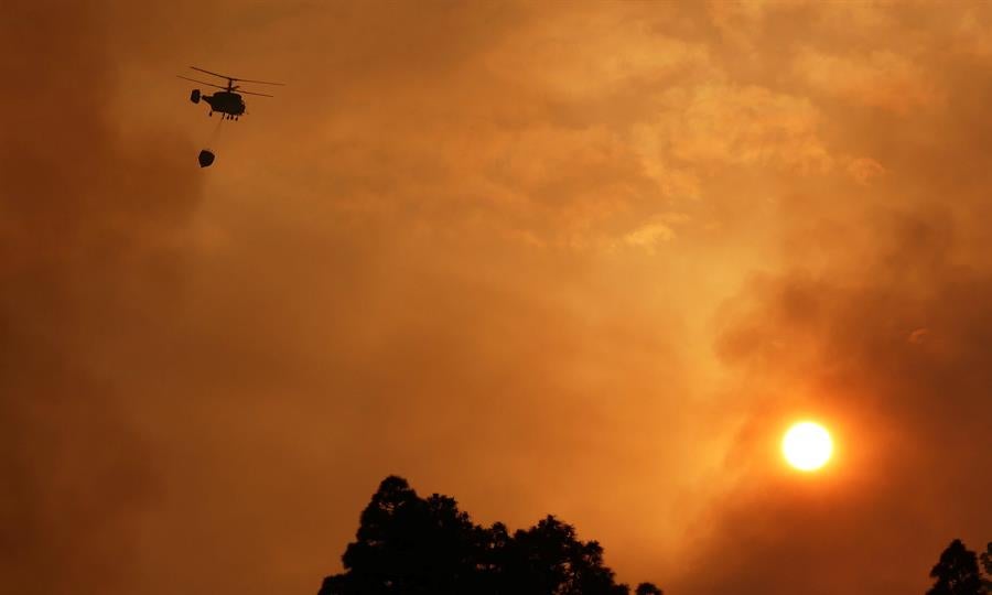 La Palma lucha para contener un fuego que ha quemado ya entre 300 y 400 hectáreas La Palma lucha para contener un fuego que ha quemado ya entre 300 y 400 hectáreas