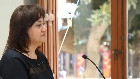 Mª Carmen Jover, diputada de Servicios Sociales e Igualdad Mª Carmen Jover, diputada de Servicios Sociales e Igualdad