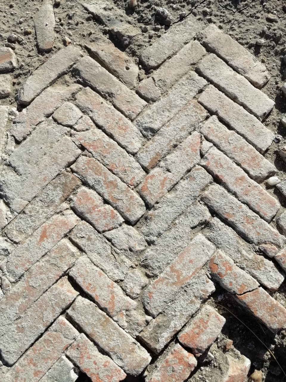 El yacimiento de Clonfluenta en Duratón El yacimiento de Clonfluenta en Duratón