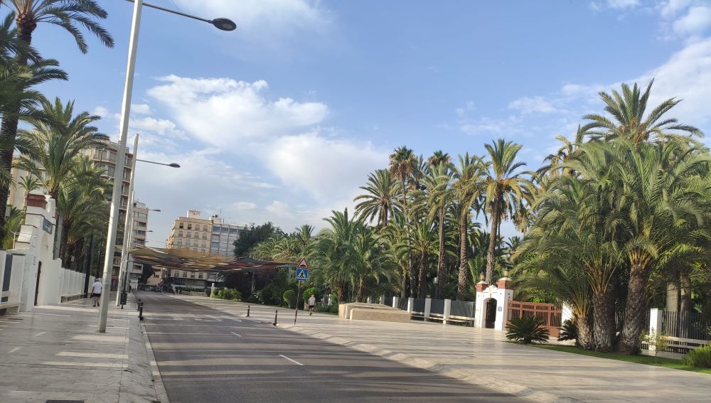 Paseo de la Estación de Elche. Paseo de la Estación de Elche.