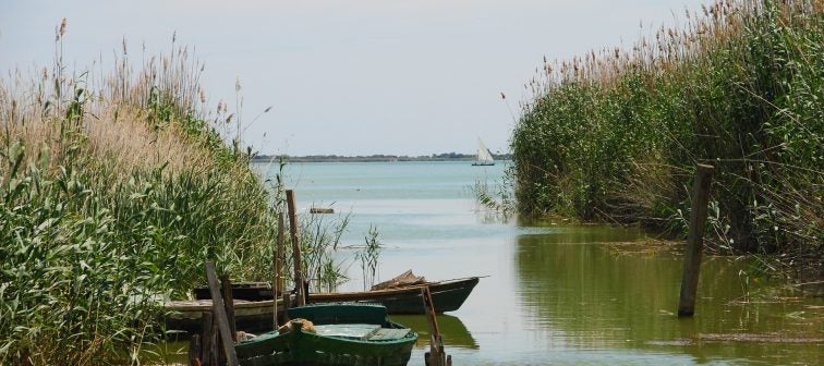 L'Albufera L'Albufera