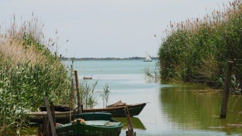 albufera