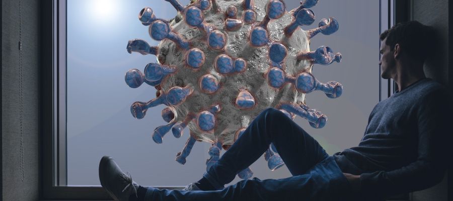 Se cumplen 6 meses de la pandemia de coronavirus Se cumplen 6 meses de la pandemia de coronavirus