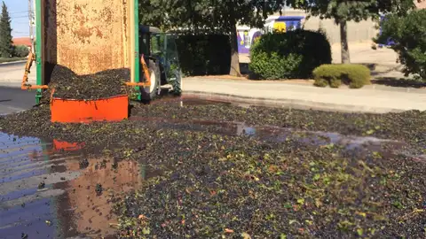 Vuelco de remolque con uvas Vendimia en Campo de Criptana