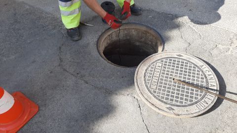 Desratizaci&oacute;n