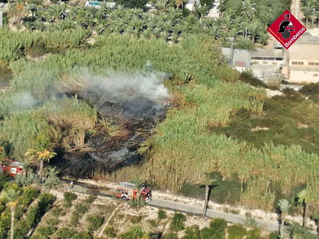 Bomberos de Elche y Guardamar del Segura sofocan un incendio en una zona de cañas en la carretera de Matola Bomberos de Elche y Guardamar del Segura sofocan un incendio en una zona de cañas en la carretera de Matola