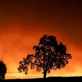 Imagen de los incendios de Oregon Imagen de los incendios de Oregon