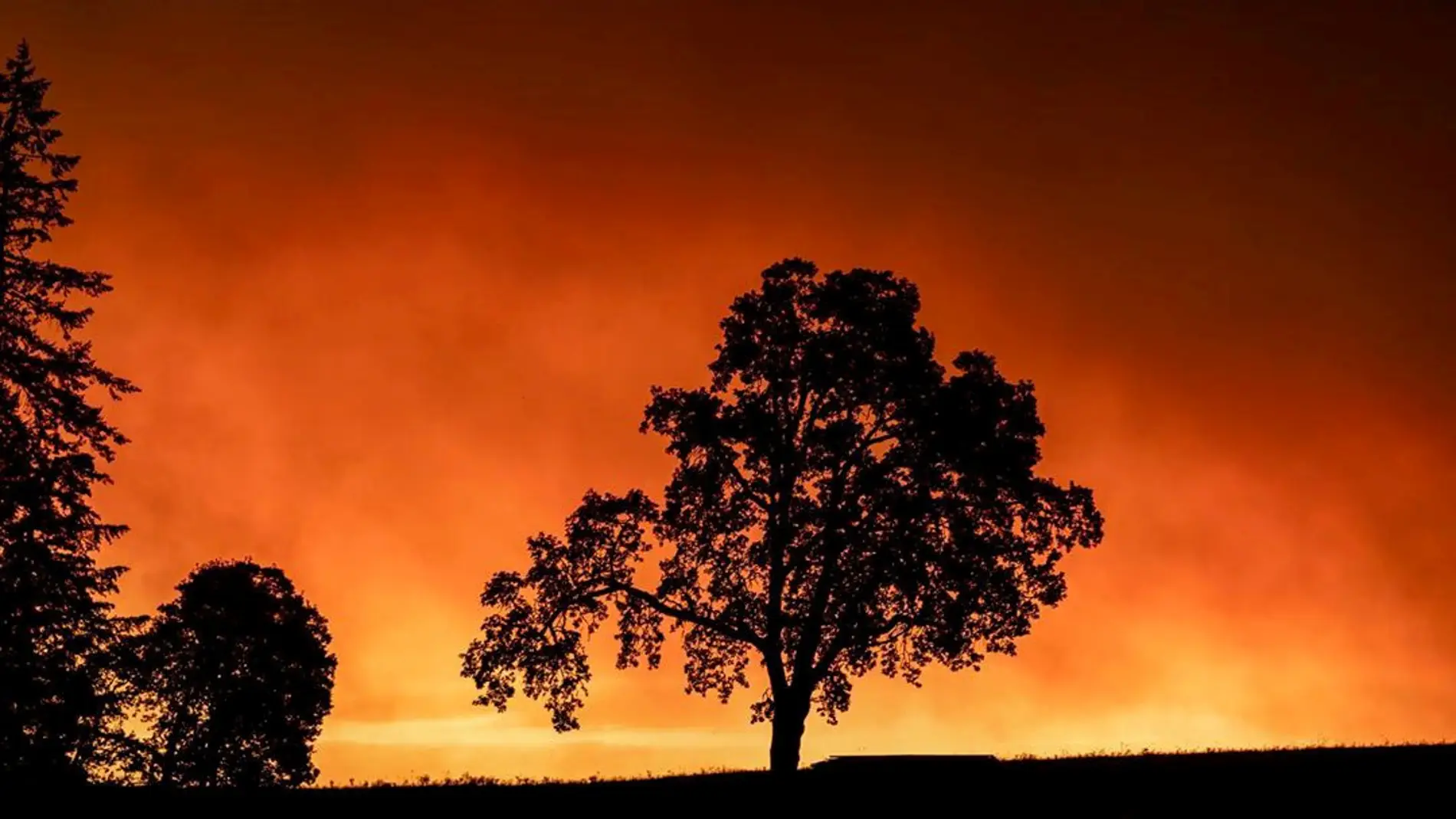 Imagen de los incendios de Oregon