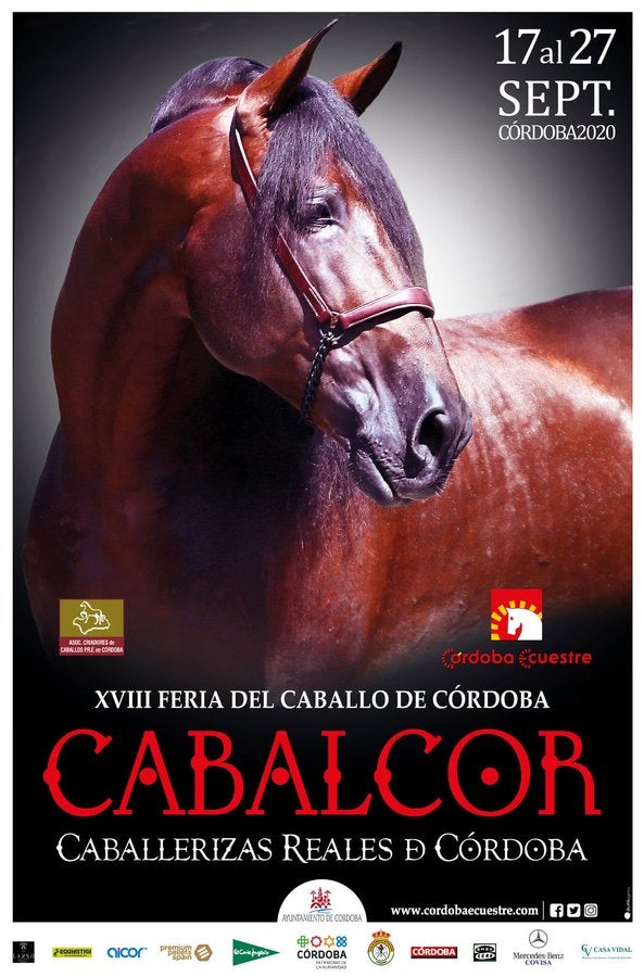 El mundo dele caballo. Cultura y Economía El mundo dele caballo. Cultura y Economía