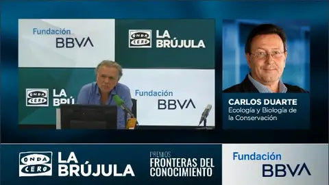 Carlos Duarte, premio Fronteras del Conocimiento BBVA de Ecología y Biología de la Conservación Carlos Duarte, premio Fronteras del Conocimiento BBVA de Ecología y Biología de la Conservación