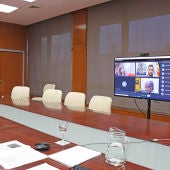 Reunión en videoconferencia de Ana Mestre y los siete ayuntamientos afectados