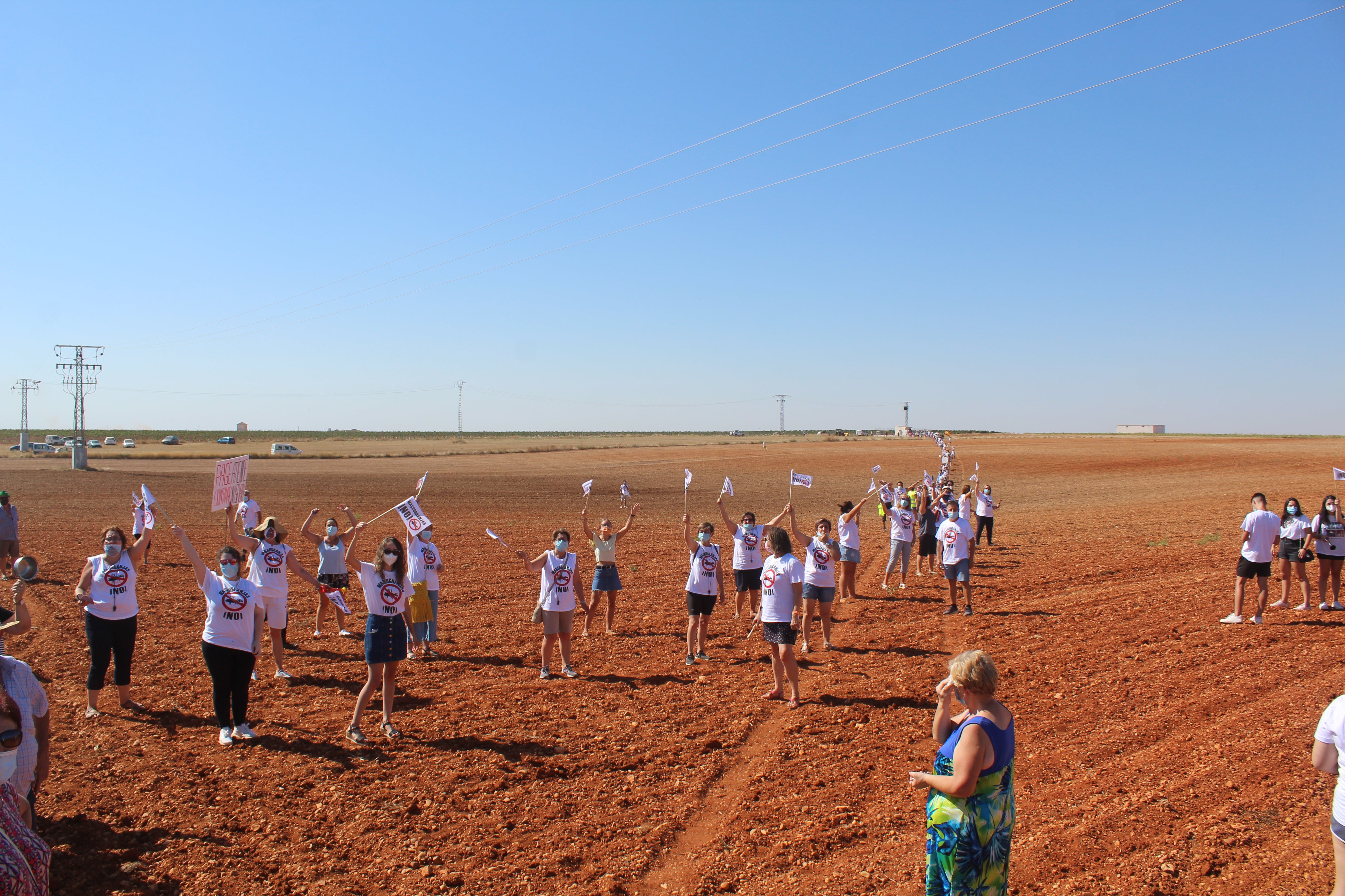 Quintanar (Cuenca) llevará a los tribunales la granja porcina de Villanueva Quintanar (Cuenca) llevará a los tribunales la granja porcina de Villanueva