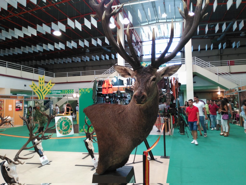 El coronavirus obliga a FERCATUR a modificar su formato y casi toda la feria será on-line El coronavirus obliga a FERCATUR a modificar su formato y casi toda la feria será on-line
