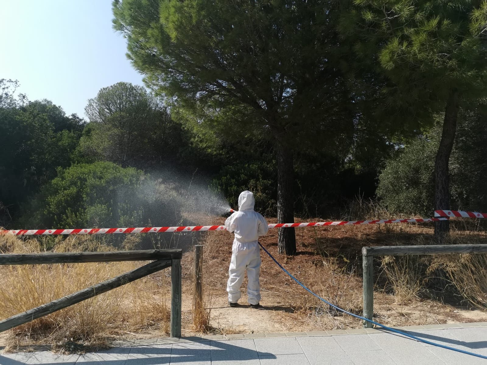 Puerto Real intensifica su plan de actuación frente al mosquito del virus del Nilo Puerto Real intensifica su plan de actuación frente al mosquito del virus del Nilo