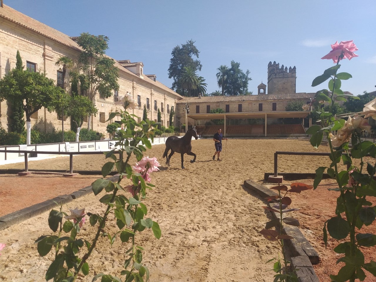Cabalcor 2020. Cabalcor 2020.
