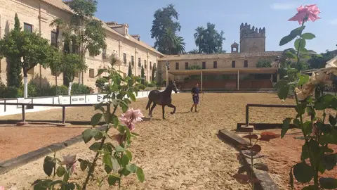 Más de Uno Córdoba Más de Uno Córdoba