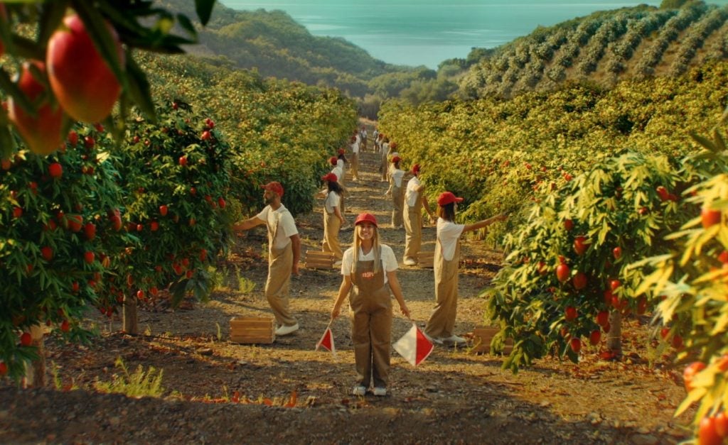 Trops pone en marcha la Campaña de Mango 2020 con la recolección de nuestras primeras variedades Trops pone en marcha la Campaña de Mango 2020 con la recolección de nuestras primeras variedades