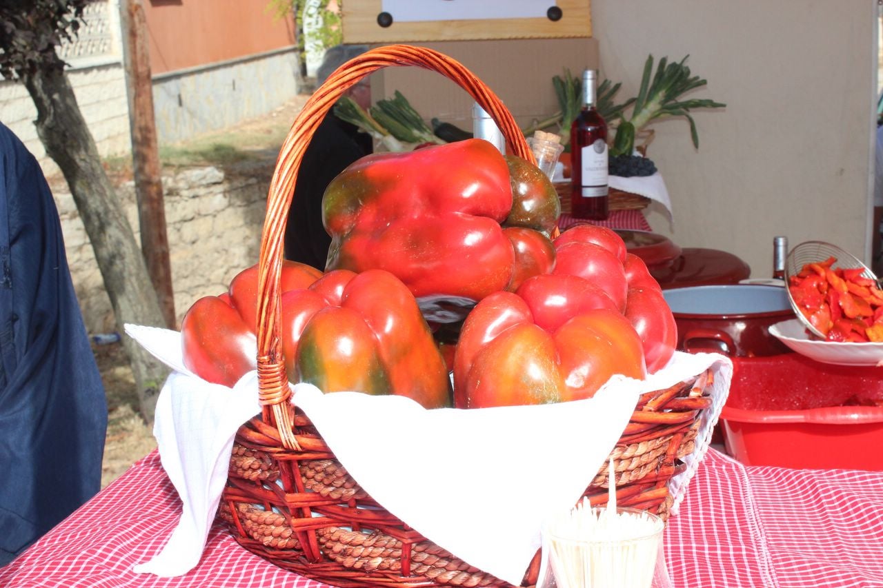 Jorge Domingo Martínez: "Este año viene una cosecha fabulosa de Pimiento de Torquemada" Jorge Domingo Martínez: "Este año viene una cosecha fabulosa de Pimiento de Torquemada"
