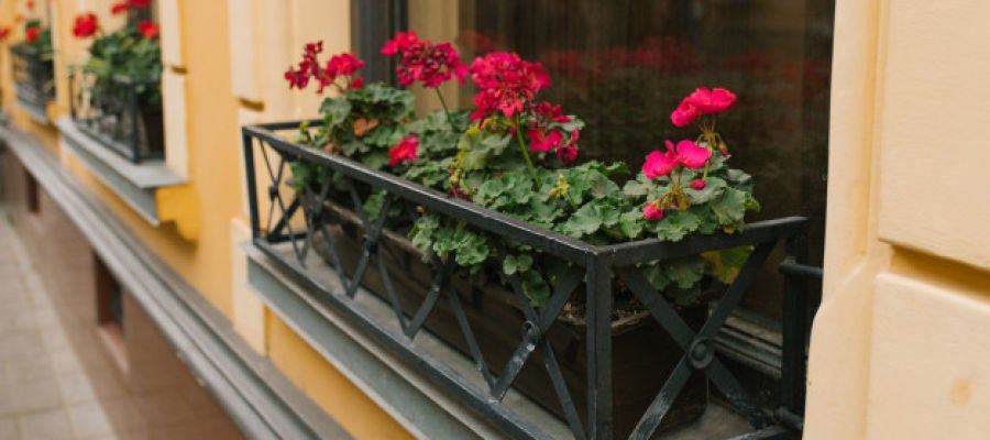 Flores en un balcón Flores en un balcón