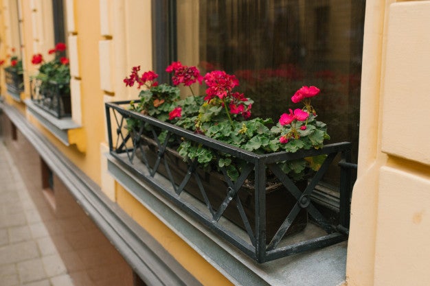 Los floristas crean un concurso para engalanar las terrazas y balcones el Día del Pilar Los floristas crean un concurso para engalanar las terrazas y balcones el Día del Pilar
