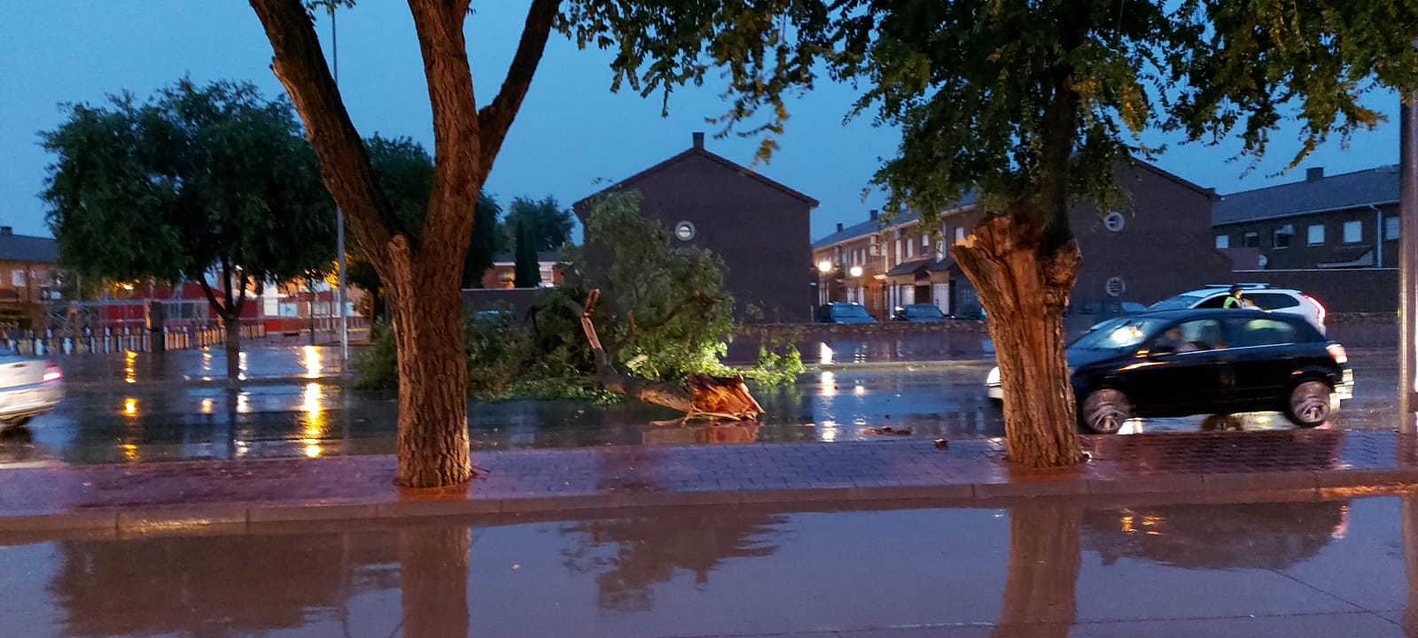 La tormenta caída en Alcázar provoca numerosos desperfectos especialmente en el arbolado La tormenta caída en Alcázar provoca numerosos desperfectos especialmente en el arbolado