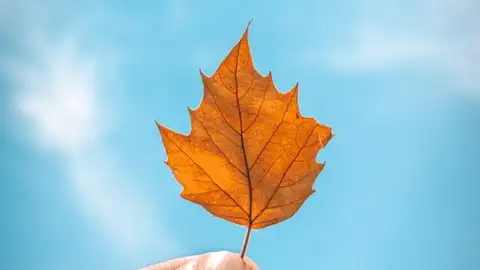 El tiempo en otoño de 2020: ¿Qué tiempo hará en septiembre, octubre y noviembre? Otoño 2020