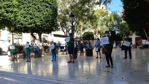 Concentraci&oacute;n de la PAH en Elche