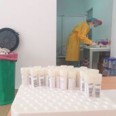 Pruebas PCR