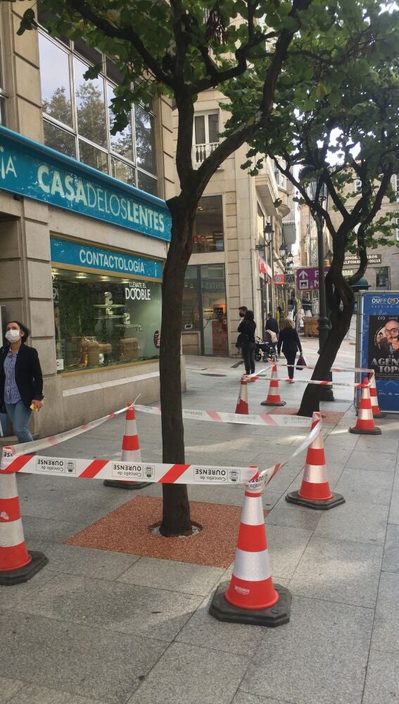 O Concello substitúe e renova os alcorques nas rúas do centro da cidade