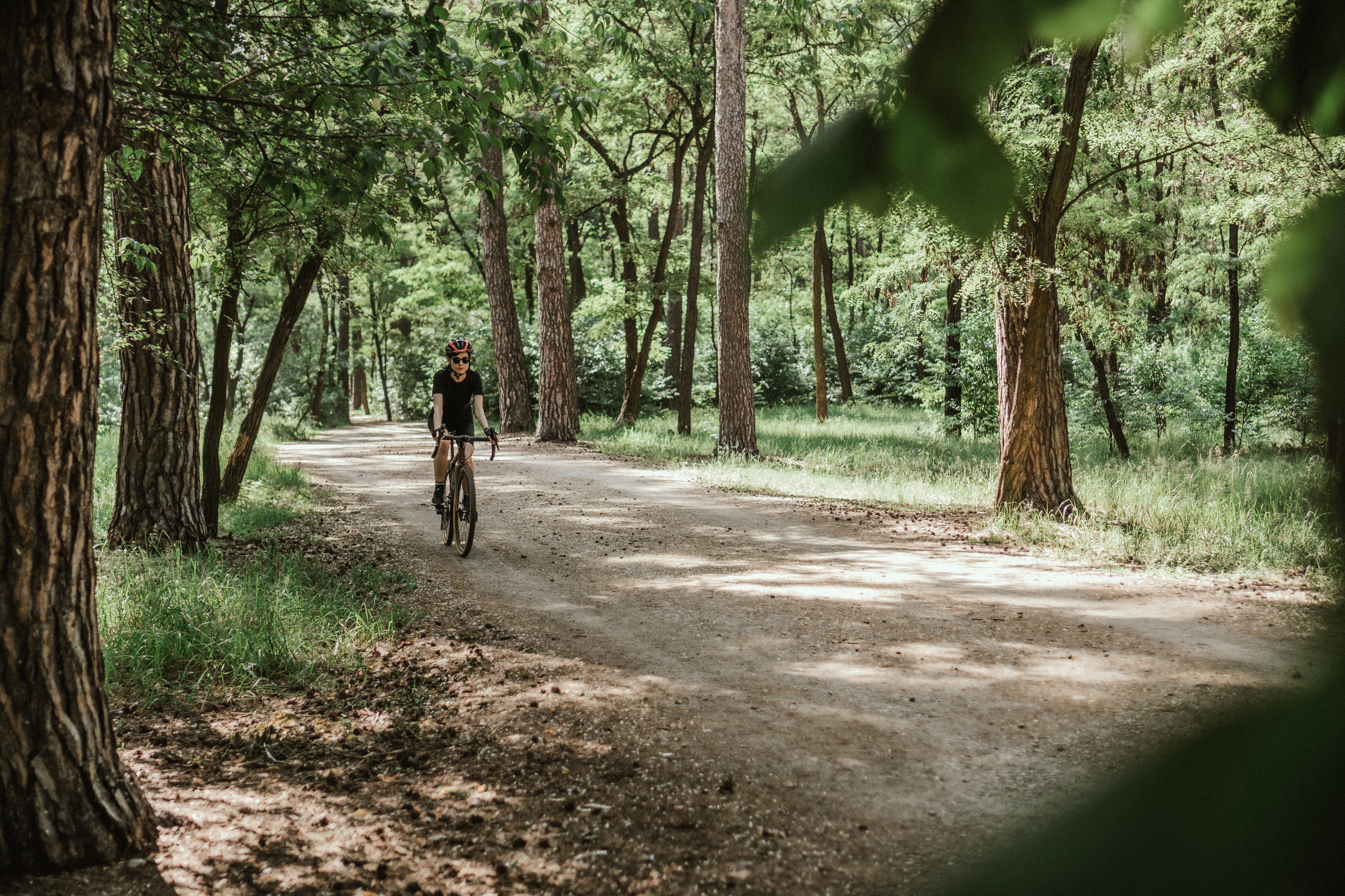 ¿Sufres trastorno por déficit de naturaleza? ¿Sufres trastorno por déficit de naturaleza?