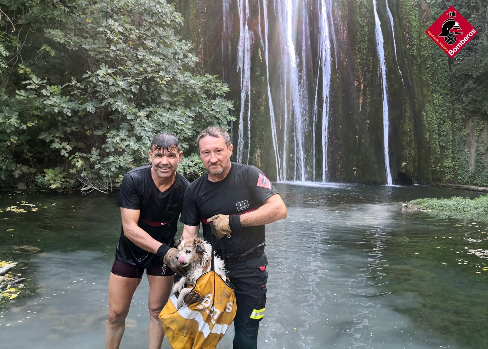 Los bomberos del Consorcio Provincial rescatan a un perro atrapado en El Molinar Los bomberos del Consorcio Provincial rescatan a un perro atrapado en El Molinar