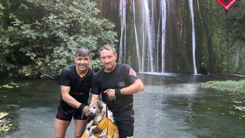 El perro rescatado por dos bomberos