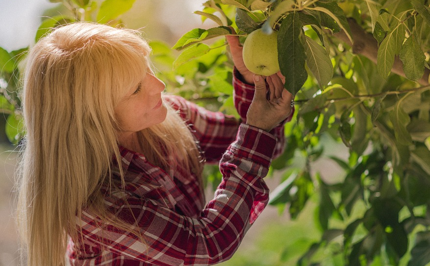 El 80% de las enfermedades cardiovasculares podrían evitarse modificando los hábitos diarios El 80% de las enfermedades cardiovasculares podrían evitarse modificando los hábitos diarios