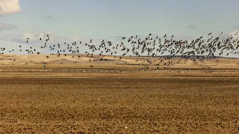 Laguna de El Hito Laguna de El Hito