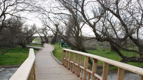 Parque Nacional de las Tablas de Daimiel