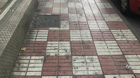 El PP denuncia la suciedad en las calles de Ciudad Real