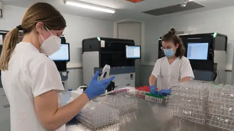 Personal de laboratori analitzant proves PCR. Personal de laboratori analitzant proves PCR.