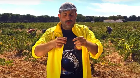 Himno de la vendimia 2020 Himno de la vendimia 2020
