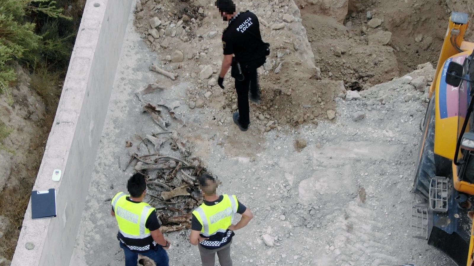 Detienen en Elche al dueño de Ragnar, el mastín maltratado encontrado en febrero abandonado junto a un contenedor Detienen en Elche al dueño de Ragnar, el mastín maltratado encontrado en febrero abandonado junto a un contenedor