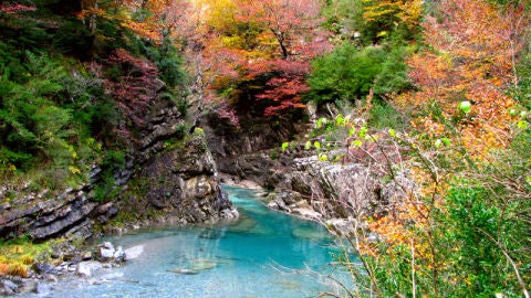 Colores del Oto&ntilde;o en el Pirineo de Huesca