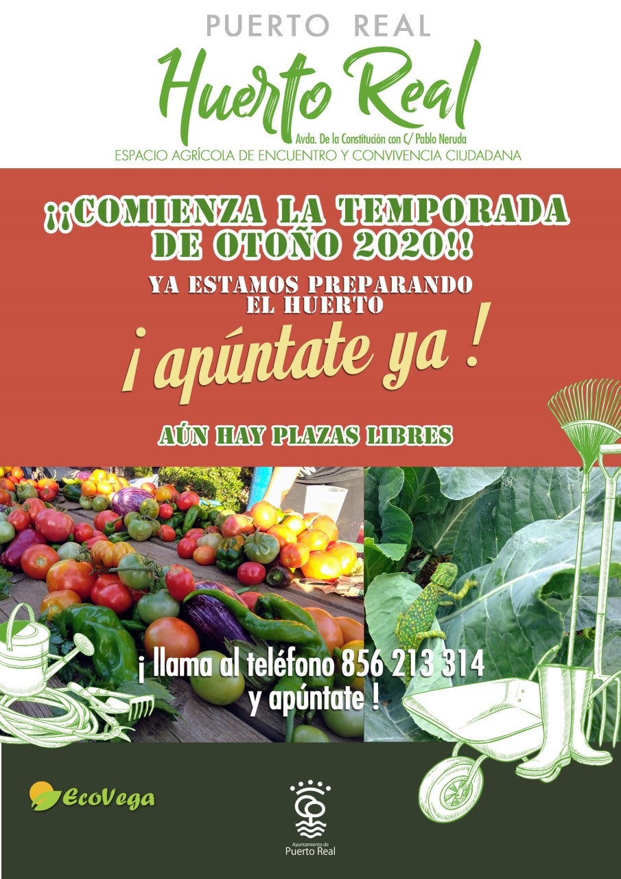 El programa de huertos ecológicos 'Huerto Real' se prepara para un nuevo curso El programa de huertos ecológicos 'Huerto Real' se prepara para un nuevo curso