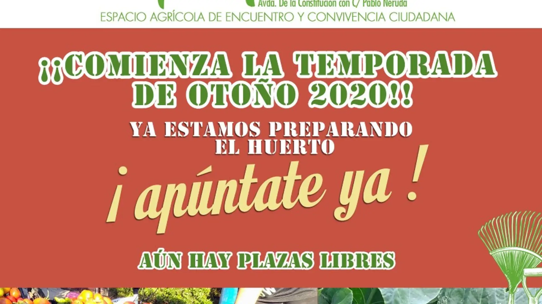 Huerto Real, iniciativa municipal