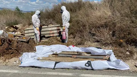 Retirada de elementos de fibrocemento en Elche. Retirada de elementos de fibrocemento en Elche.