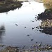 GUADAIZA