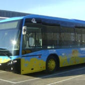 Autobuses urbanos de Sanlúcar de Barrameda