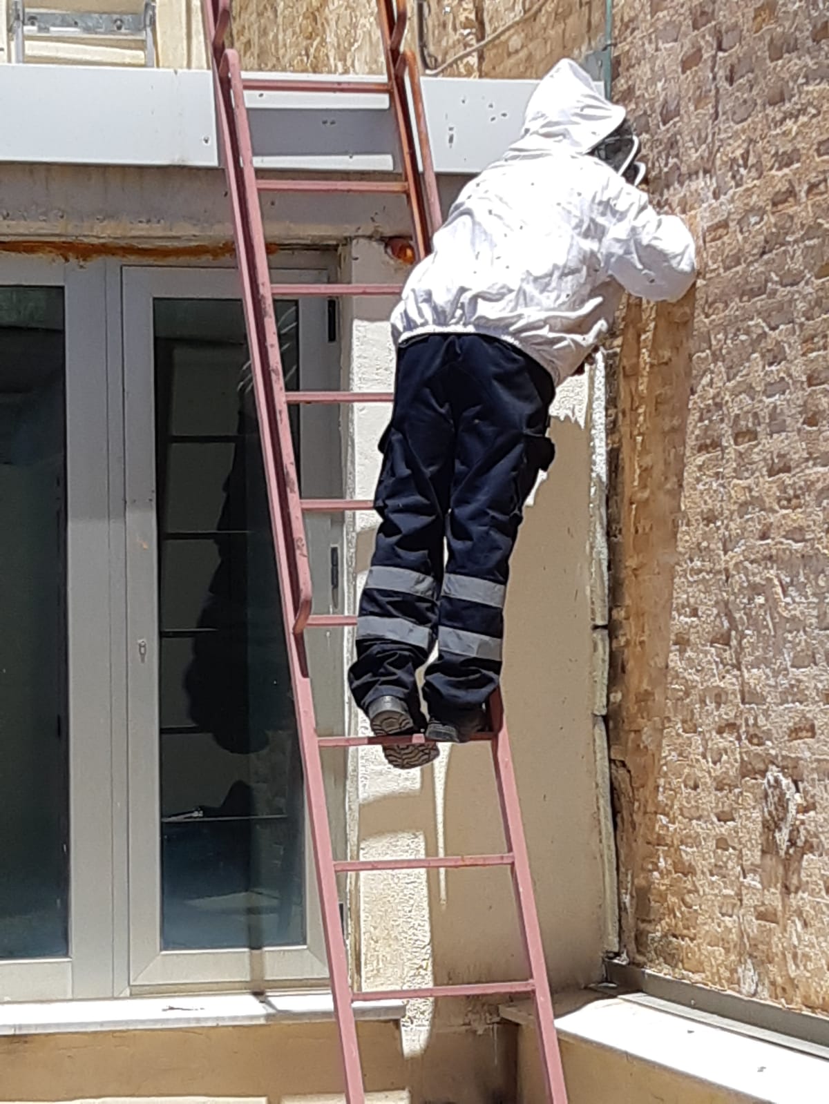 Un panal de abejas impide el regreso de la actividad cultural al Centro Hernandiano de Elche Un panal de abejas impide el regreso de la actividad cultural al Centro Hernandiano de Elche